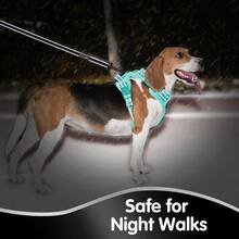 Breathable Dog Harness, Front & Back D-Rings, Padded Oxford Cloth Pet Vest, Anti-Choke & Escape-Proof - Mint Blue - View 8