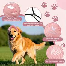 Pet Hat, Dog Hat, Dog Baseball Cap, Baseball Cap - Multicolor - View 2