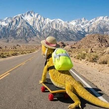 1 Set 3pcs Small Pet Toys, Lizard, Hamster, Parrot, Turtle Skateboard, Backpack, Hat, Cool Accessories Set - Multicolor - View 10