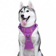 Breathable Dog Harness, Front & Back D-Rings, Choke-Free, Padded Oxford Cloth Pet Vest - Purple - View 3