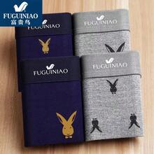 Mutande sportive per taglie forti da donna - Puro cotone stampato, confezione regalo da 4, S9460 - Visualizzare 9
