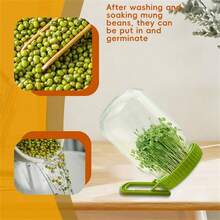 Sprouting Jar Lid With Stand, Easy Seed Germination Bean Sprout Growing Kit Sprouter - Multicolor - View 3