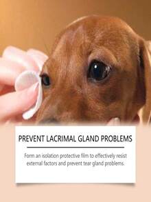 Yegbong Pet Tear Stain Remover Cream, Gentle Cleaning For Cat And Dog Tear Stains, Eye Care Cleaning Cream - Multicolor - View 6