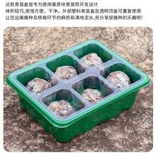 6-Cell Seedling Tray, Gardening Planter Pot With Lid And Moisture Retention Tray, Promotes Germination For Optimal Sprouting! - Green - View 7