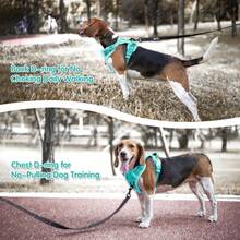 Breathable Dog Harness, Front & Back D-Rings, Padded Oxford Cloth Pet Vest, Anti-Choke & Escape-Proof - Mint Blue - View 6
