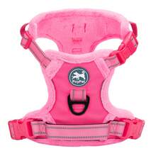 Breathable Dog Harness, Front & Back D-Rings, Choke-Free, Padded Oxford Cloth Pet Vest - Hot Pink - View 10