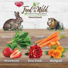 Kaytee Food From The Wild Natural Snack For Pet Rabbits, Guinea Pigs And Other Small Animals, 1 Ounce - 1 Ounce (Pack Of 1) - View 2
