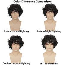 男士短卷假发 动漫角色扮演时尚日常假发 耐热合成纤维 蓬松柔软 造型假发（黑色和棕色可选） - 彩色 - 查看 6