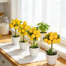 Decoración de bandeja escalonada con limón de estilo veraniego, planta de limón artificial, decoración rústica del hogar, planta de limón falsa en mini jarrón, accesorio de verdor para bandeja escalonada (estilo de limón) - Multicolor - Ver 6