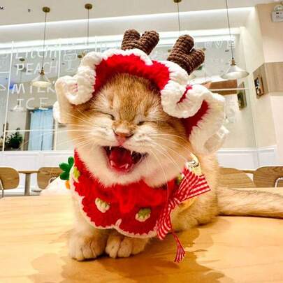 Cute Reindeer New Year Decoration Set, Antler Headband, Funny Cat Hat, Dog Scarf, Handmade Crochet Pet Decor