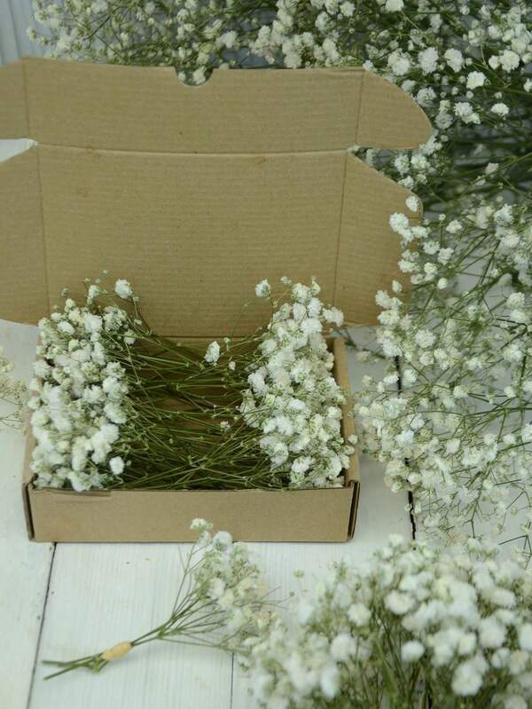 50/260支/盒迷你满天星及其他干花 - 适用于树脂模具工艺品，象牙白花束，可用于发饰、婚礼花环、桌面花瓶、家居装饰