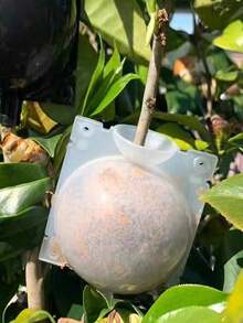 Reusable Plant Rooting Device - Transparent Visible Plant Grafting Device, Plant Root Growth Ball, Non-Destructive High-Pressure Breeding Ball, Plant Root Grafting Device Box, For Rapid Plant Breeding Air Layering Box - A - View 5