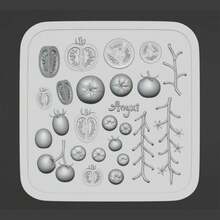 1pc Mini Tomato, Cherry Tomato, Strawberry, Blueberry Cute Fruit 3D Nail Art Mold, Transparent Silicone Mold - Clear - View 14