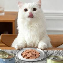 2个耐用不锈钢猫碗，防滑宠物喂食器，深底设计防止食物溢出，轻便易清洗，适合猫和小型犬，大直径宠物食品和水碗 - - - 查看 9