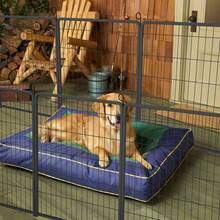 Pet Fence - Black - View 7