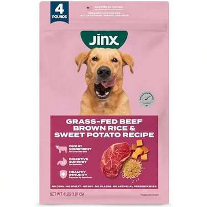 Jinx Premium Dry Dog Food, For All Lifestages - Real Beef, Brown Rice & Sweet Potato Kibble With Superfoods For Immune Support & Probiotics For Digestive Support - No Fillers - 4lb