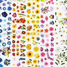 10片装美甲贴纸，DIY专用 - 闪亮玫瑰雏菊图案，亮泽美甲贴花，无需胶水 - 彩色 - 查看 5