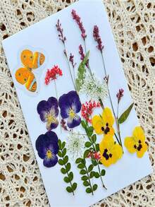 手工干花压制展示框，镂空3D植物标本保护双面透明玻璃框 - 均碼 - 查看 3