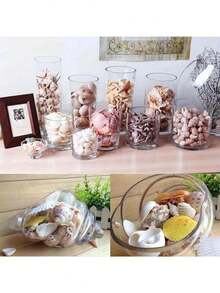 30Pcs/Bag Mix Aquarium Beach Nautical DIY Shells Mixed Bulk Sea Shell - C - View 2