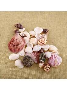 30Pcs/Bag Mix Aquarium Beach Nautical DIY Shells Mixed Bulk Sea Shell - C - View 6