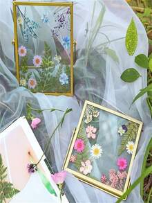 手工干花压制展示框，镂空3D植物标本保护双面透明玻璃框 - 均碼 - 查看 10