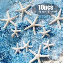 10 White Starfish Resin Ornament Set - Summer Ocean Themed Art Deco Material, Perfect For Home Decor With Ocean Elements - White - View 6