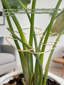 Durable Turtle Shell Bamboo Stabilizer And Support System - Metal Climbing Plant Trainer With Bamboo Handle Kit, Ideal For Healthy, And Aesthetic Plant Growth Support In The Garden, Plant Support Structure | Climbing Plant Support | Metal Stabilizer