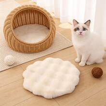 Seat Cushions & Backrest Pillows - Multicolor - View 11