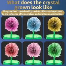DIY魔法水晶生长实验套装，多种颜色可选，儿童STEM科学玩具，亲子手工水晶生长观察教育礼物 - 彩色 - 查看 6
