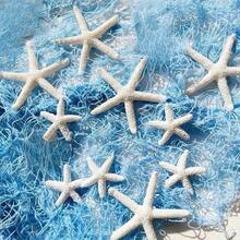 10 White Starfish Resin Ornament Set - Summer Ocean Themed Art Deco Material, Perfect For Home Decor With Ocean Elements - White - View 8