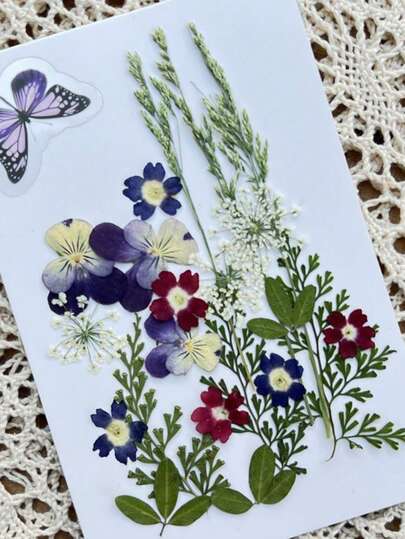 Handmade Dried Flower Pressed Display Frame, Hollow 3D Plant Specimen Protection Double-Sided Transparent Glass Frame