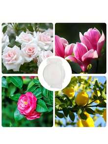 Reusable Plant Rooting Device - Transparent Visible Plant Grafting Device, Plant Root Growth Ball, Non-Destructive High-Pressure Breeding Ball, Plant Root Grafting Device Box, For Rapid Plant Breeding Air Layering Box - A - View 4