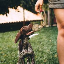 Linen Dog Toys Set, Suitable For Medium & Small Dogs, Includes Rope Toys, Chew Toys With Knots & Balls, Tug Of War, Training, Gum Massage - Multicolor - View 5