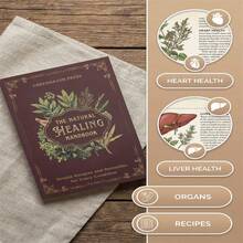 Herbal Remedies Guide  Natural Healing Handbook With Recipes For Heart Blood Sugar Focus - Mixed color - View 5