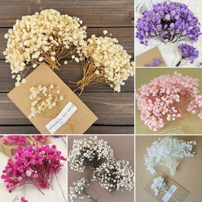 20/50/100/150/300 piezas Mini Flor de Novia y otras flores secas - Para moldes de resina, arte y manualidades, ramos de color blanco marfil para accesorios para el cabello, coronas de boda, decoración de mesa, decoración del hogar