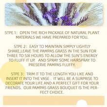 Colorful Dried Flower Bouquet Real Touch Babys Breath For Home Aesthetic Room Decor Natural Bunny Tails Grass Arrangement Spring Valentine's Day Mother's Day Wedding Decor - Romantic Purple - View 8