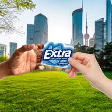 Peppermint Sugar Chewing Gum, 15 Pieces (3 Pack) - 空白的 - 查看 6
