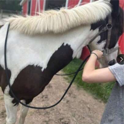 1PC - 3M/118inch Horse Harness Reins, Convenient For Riding And Control, Nylon Woven Reins