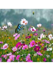 5/10/30/50 piezas Decoraciones de mariposa, estacas de mariposa oscilantes DIY creativas de PVC resistente al agua, estacas de jardín de mariposas simuladas, con varillas de resorte adecuadas para interiores/exteriores, decoración de Navidad en el patio - Multicolor - Ver 9