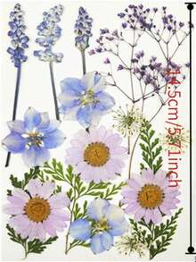 手工干花压制展示框，镂空3D植物标本保护双面透明玻璃框 - 均碼 - 查看 13