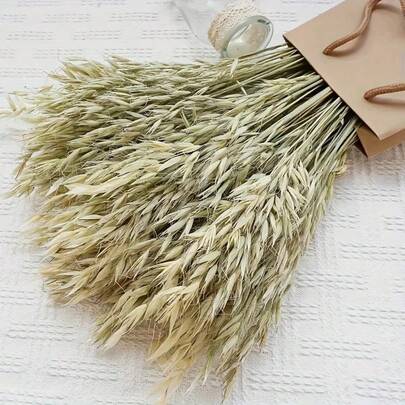 20/40/60支装天然干白燕麦花束，真天然漂白燕麦花小麦束，适用于婚礼、圣诞节装饰、DIY家居摆设、小型干花花束、蛋糕装饰