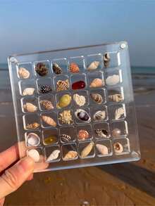Magnetic Shell Display Case, Acrylic Magnetic Seashell Display Box, Transparent Display Box For Diamond Gems Earrings Rings Jewelry, Jewelry Storage Display Box - Multicolor - View 4