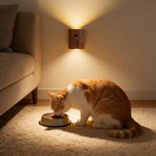 1 套木质运动传感器 LED 壁灯，可粘贴磁性床头灯，适用于楼梯、阁楼、浴室、走廊、地下室、车库