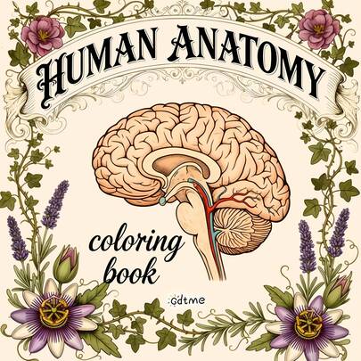 24 Detailed Brain Slice Illustrations Horror Art Coloring Book, Helps Relax Mind And Enhance Aesthetic Appreciation, Suitable As Gothic Style Girl Birthday Gift, Back To School, Valentine's Day, Easter, Carnival Gifts, Stationery, Office Supplies, Room Decor, Size: 7.9 X 7.9 Inches