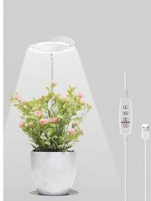 Growing Lamps