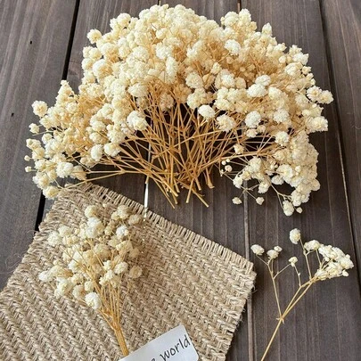 25/50/100/300pcs Mini Baby's Breath Flowers & Other Dried Flowers - Suitable For Resin Mold Arts & Crafts, Ivory White Bouquet For Hair Accessories, Wedding Wreaths, Vases, Home Decor