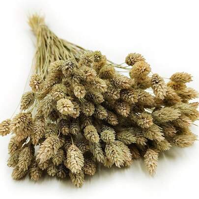 25/50/100pcs Gem Grass Dried Flowers, Assorted Colors, For Home Decor, Vase Decoration, DIY Bouquets, Cake Decoration