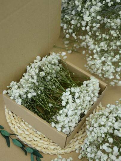 1盒迷你满天星及其他干花 - 适用于树脂模具工艺品制作，象牙白花束，可用于发饰、婚礼花环、花瓶、家居装饰