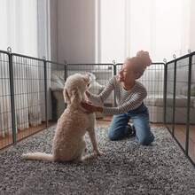 Pet Fence - Black - View 8