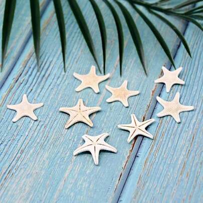 3pcs Home Ornaments, Aquarium Ornaments, Living Room Ornaments, Home Decoration Natural Conch Shell Five Overlord Mantou Starfish Specimen Mediterranean Platform Decoration Wall Decoration Collection Home Decor Home Life Decor Home Decoration Ornaments, Living Room Decoration Ornaments, Holiday Decorations, Wall Stickers Decorations